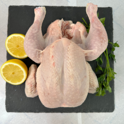 Pollo entero (2Kg aprox)