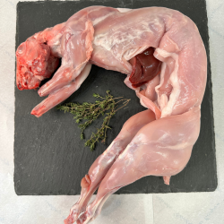 Conejo entero (1,300 kg aprox)